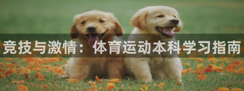 杏悦电子有限公司