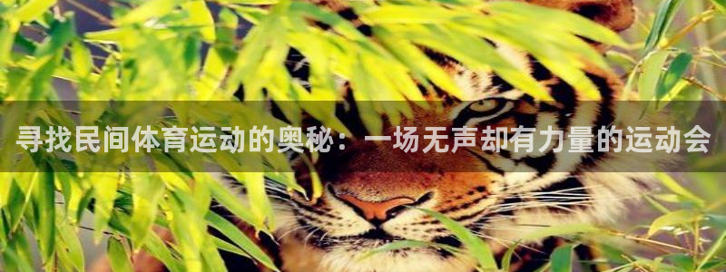 杏悦体育凯捷平台注册