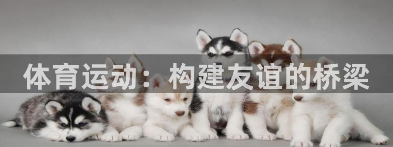 杏悦2平台注册