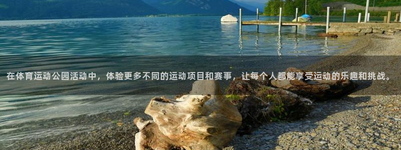 杏悦2体育登录入口