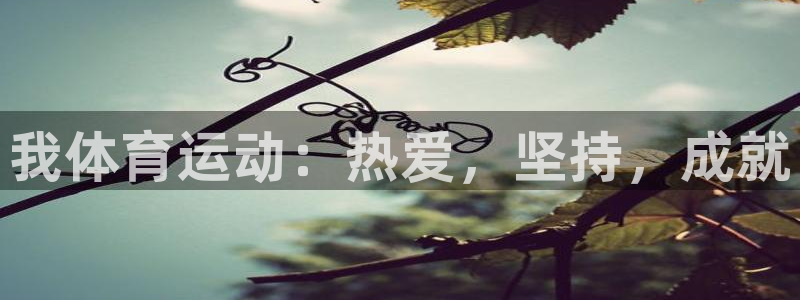杏悦体育f开户