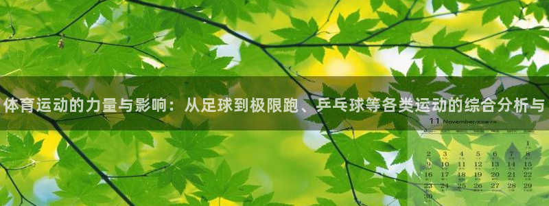 杏悦体育合法嘛