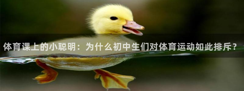 杏悦平台如何