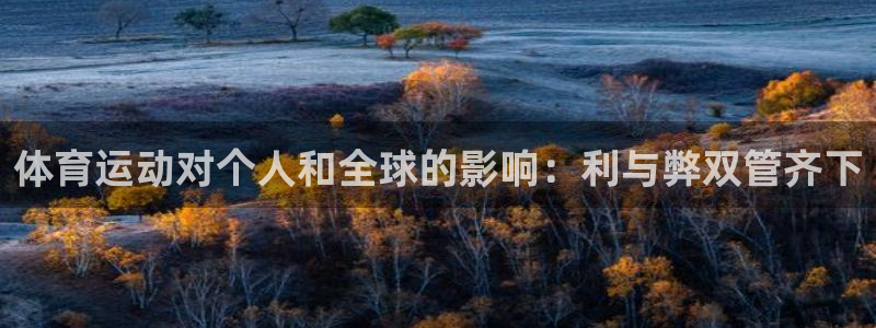 杏悦平台