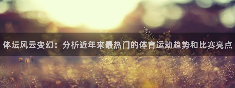 杏悦体育和杏耀是哪个公司的