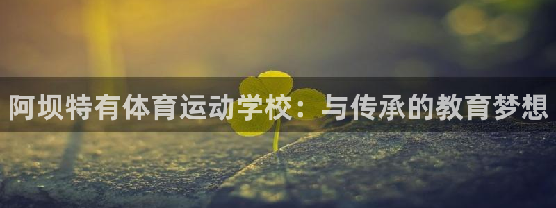 杏悦体育网页版入口