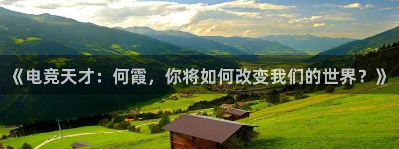 杏悦代理
