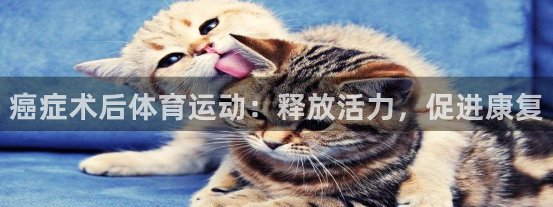 杏悦体育免费注册入口