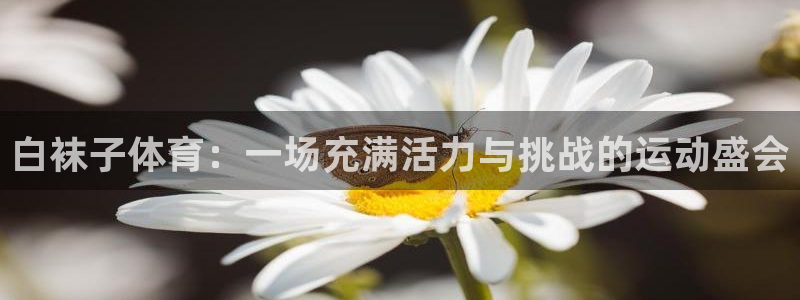 杏悦4平台注册