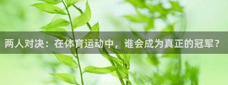 杏悦4开户