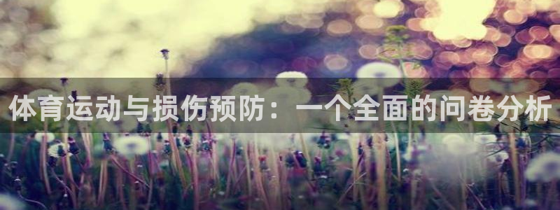 杏悦体育代理申请流程