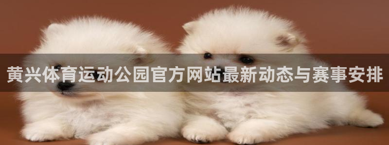 杏悦体育和杏耀是哪个公司的