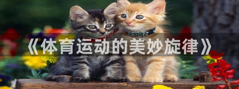 杏悦登录注册