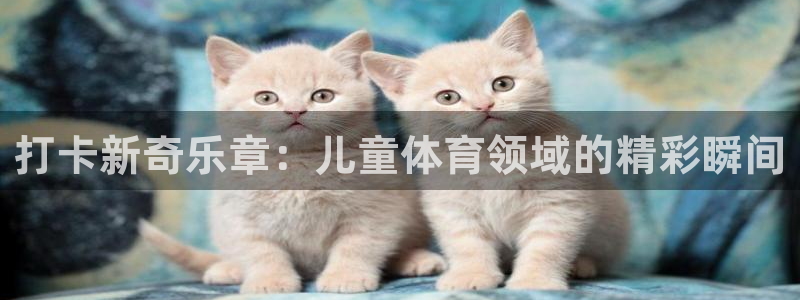 杏悦体育论坛