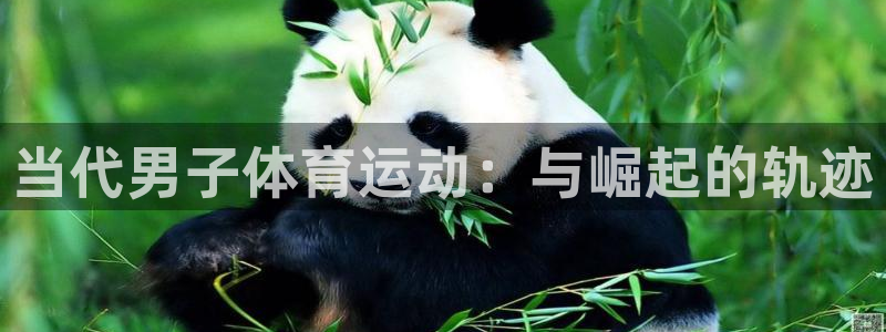 杏悦零能源集团