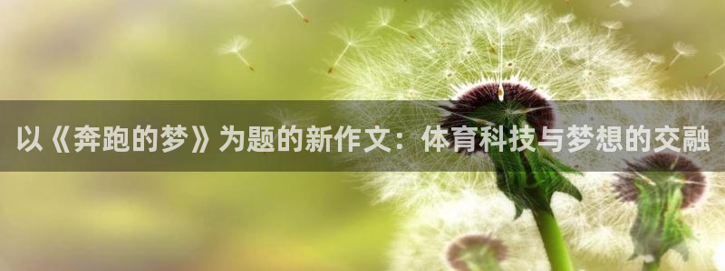 杏悦体育游戏
