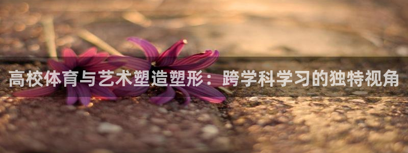 杏悦体育2官网入口