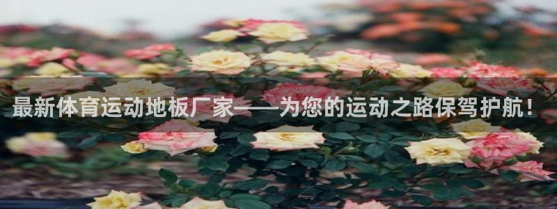 杏悦体育注册平台