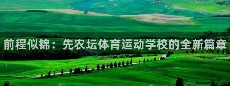 杏悦能源